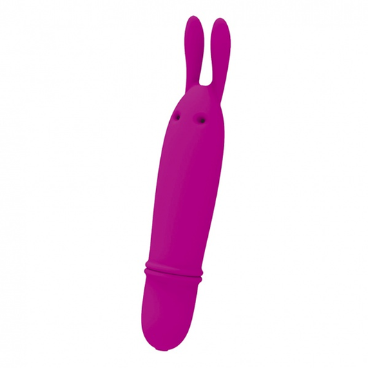 BOYCE | Mini Vibrador